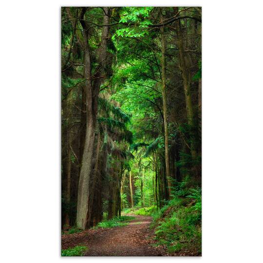 Designart - Dreamy Greenery in Dense Forest